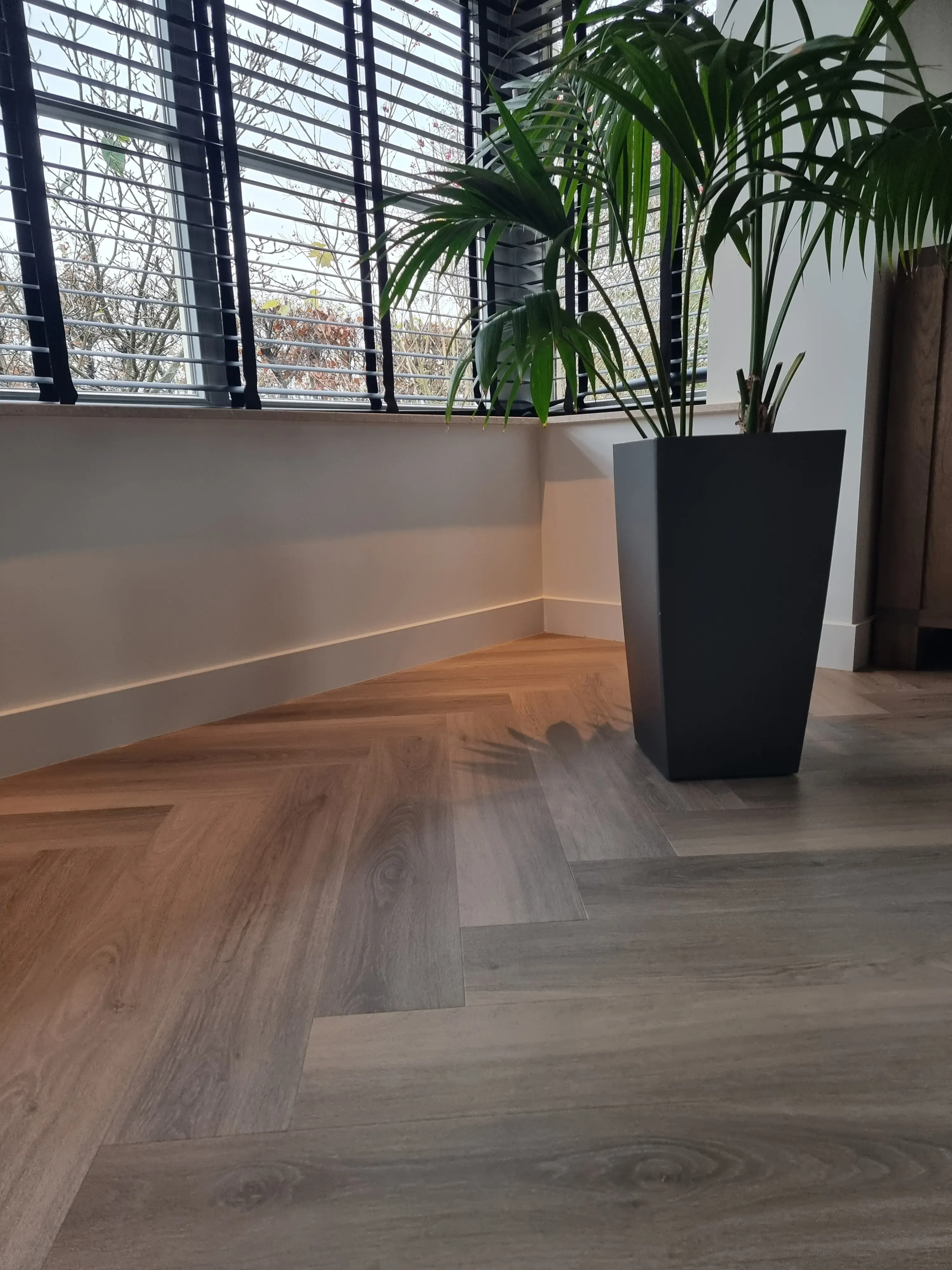 Showroom 2